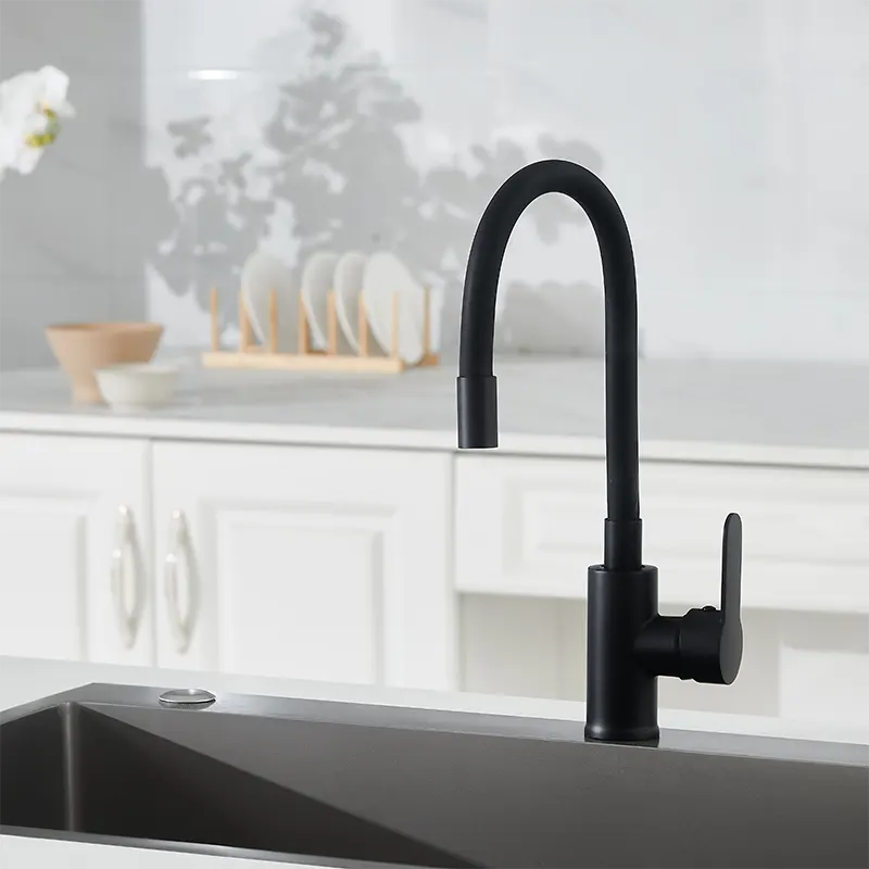 Multi Directional Black Kitchen Faucet